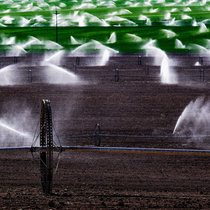 Wona - Ashes and arms