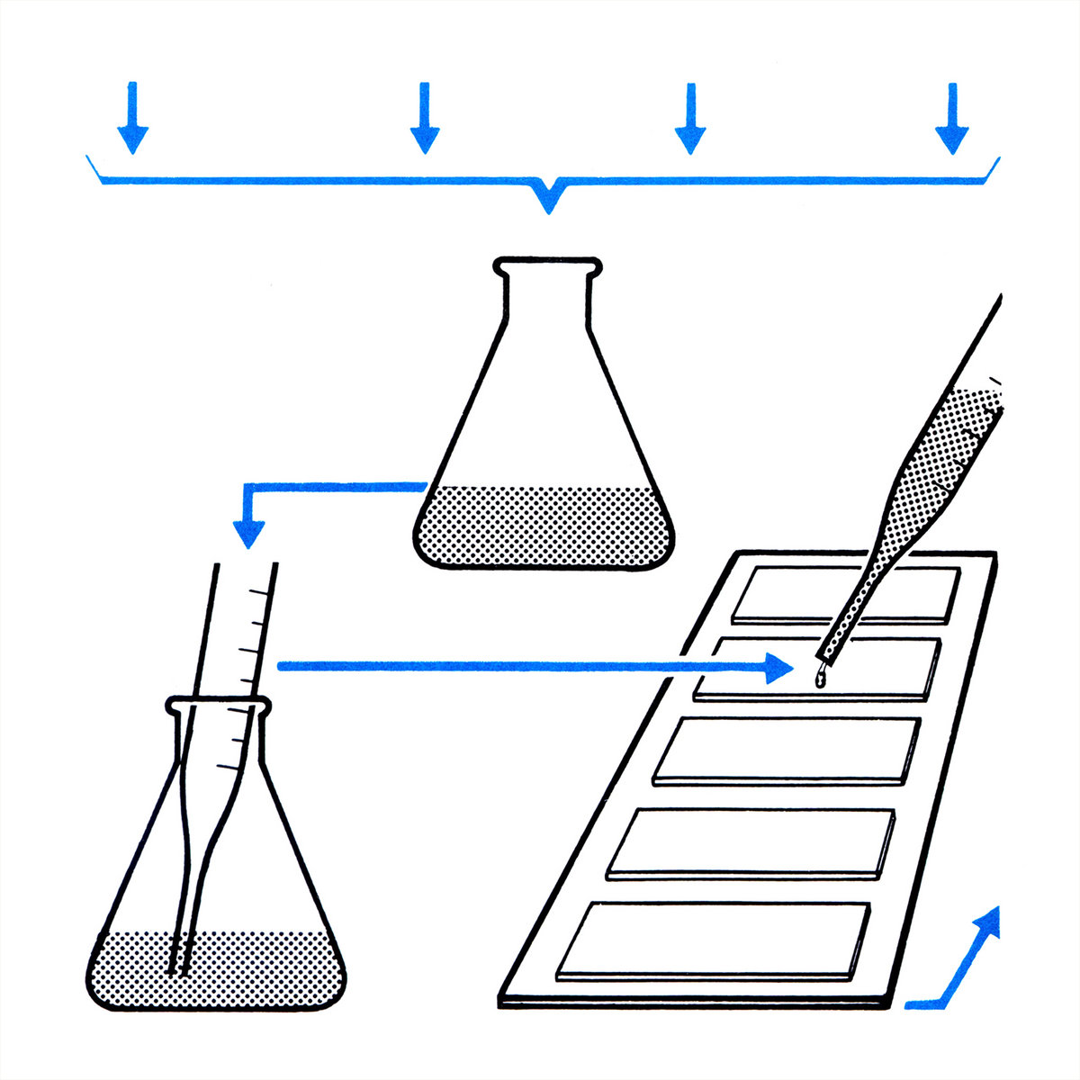 Methaqualone