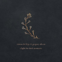 A Light For Dark Moments cover art