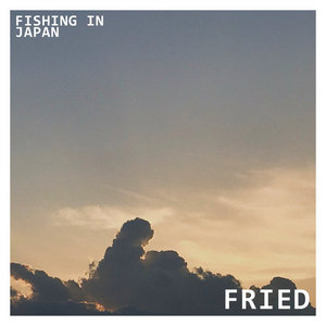 Fried cover