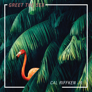 Cal Riffken Jr. cover