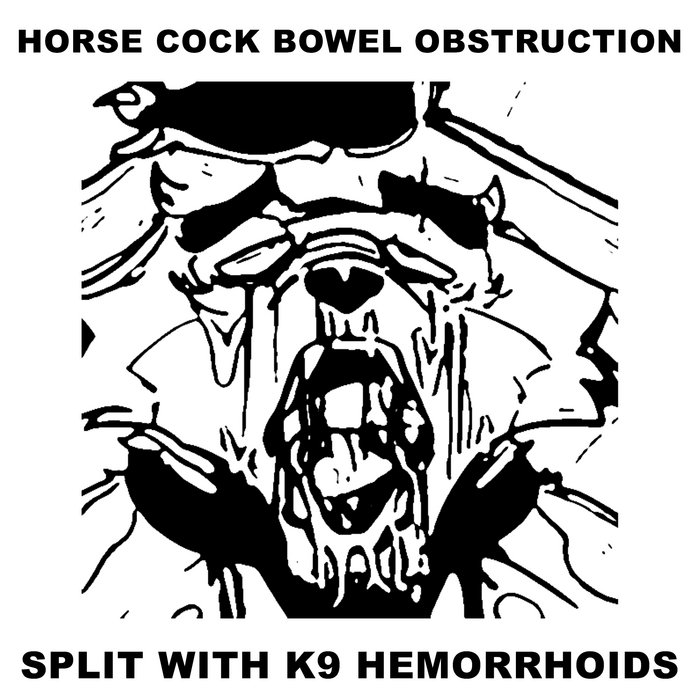 SPLIT WITH K9 HEMORRHOIDS Horse Cock Bowel Obstruction