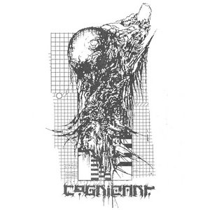 Cognizant // Cryptic Void cover