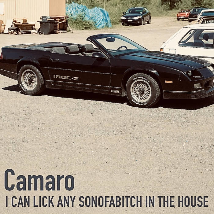 Camaro, by I Can Lick Any Sonofabtich In The House