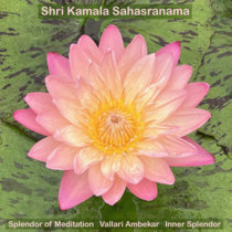 Shri Kamala Sahasranama cover art