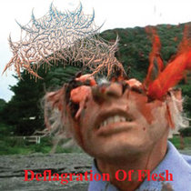 Deflagration Of Flesh cover art