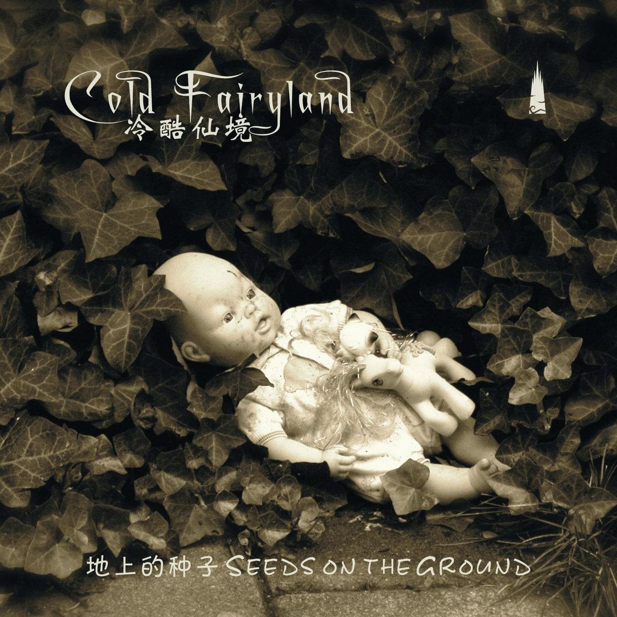 地上的种子Seeds on the Ground | Cold Fairyland