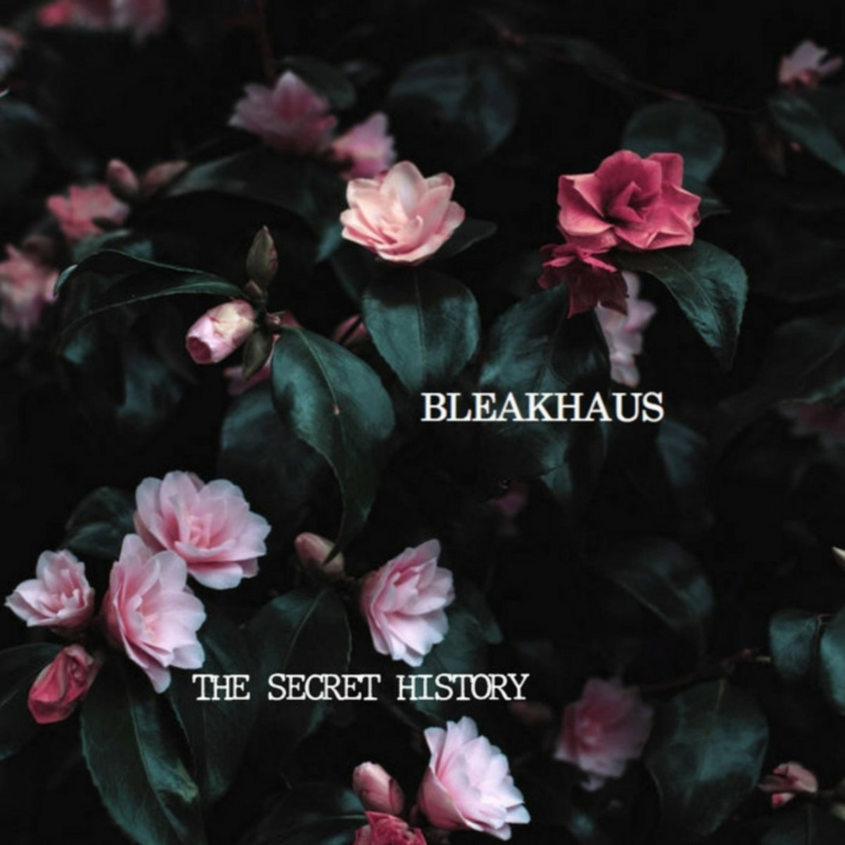 The Secret History cover