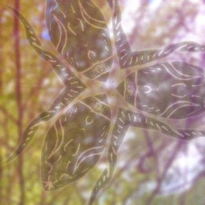 Tweed — Photo