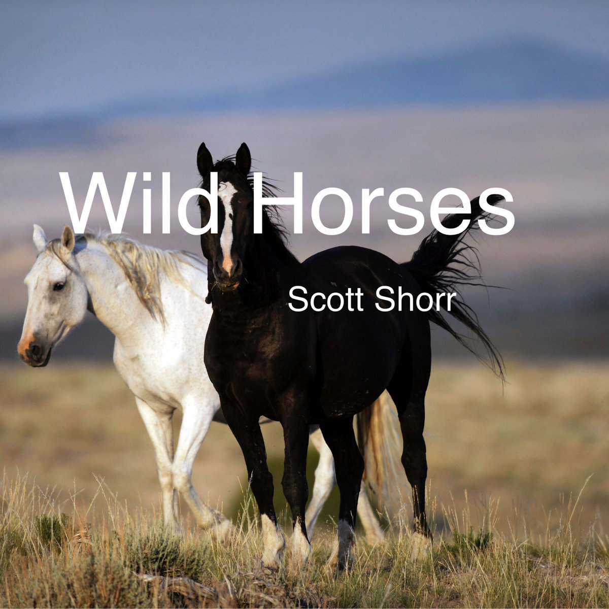 Wild Horses by The Rolling Stones Scott Shorr