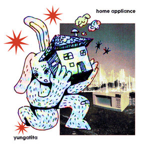 Home Appliance cover