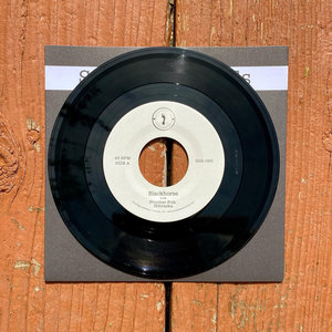 Blackhorse split with William Matheny cover