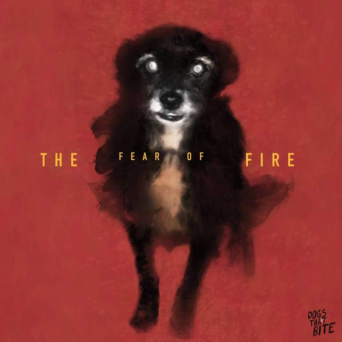 head & shoulders for dogs