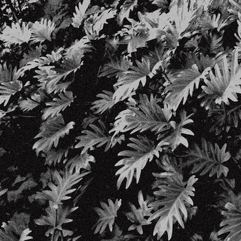 Music | ato.archives