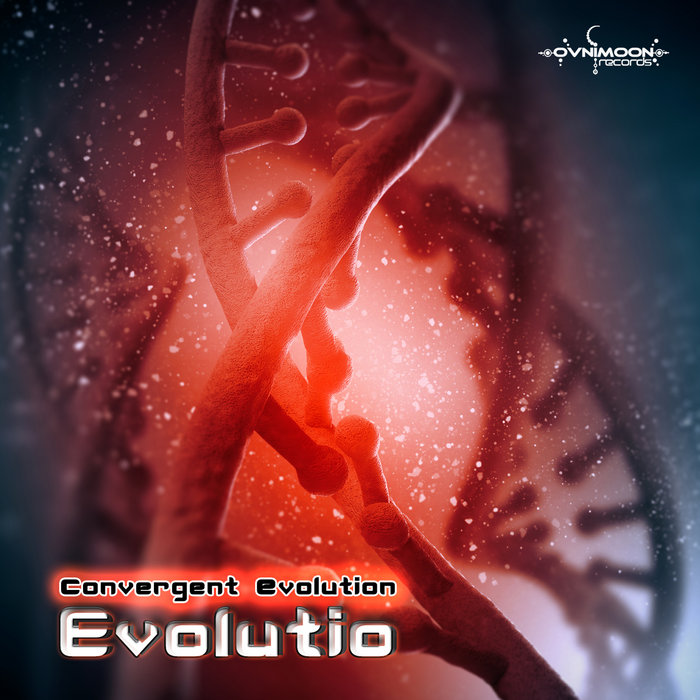 Convergent Evolution - Evolutio - [OVNILP906] | Convergent Evolution ...