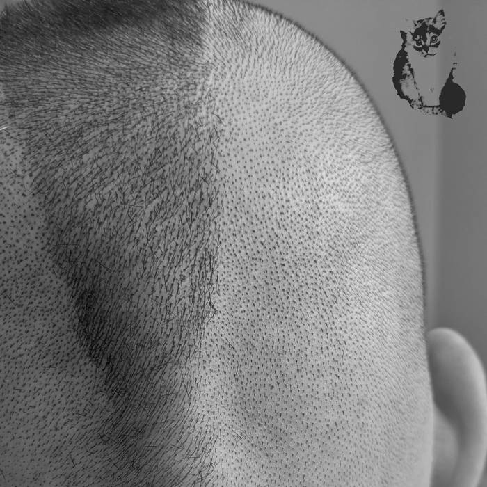 Dosie Dough Mister Purfect