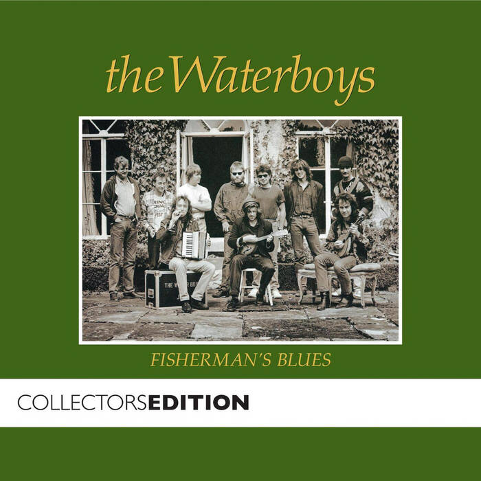 英LP The Waterboys Fisherman's Blues UK盤 Fisherman's Blues | The Waterboys | Chrysalis Records