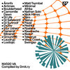 Various Artists [NV020]