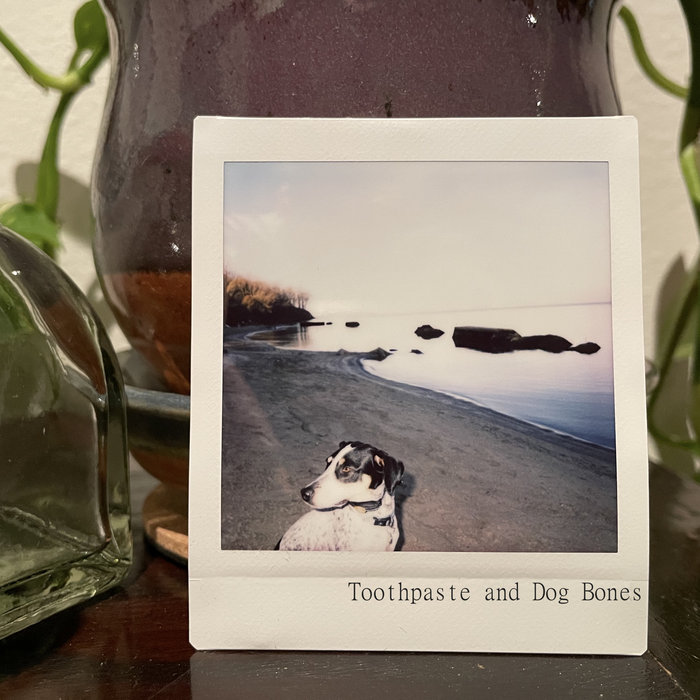 Toothpaste and Dog Bones Zach Angeloni