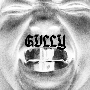Gully