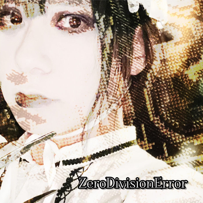 ZeroDivisionError | ZeroDivisionError