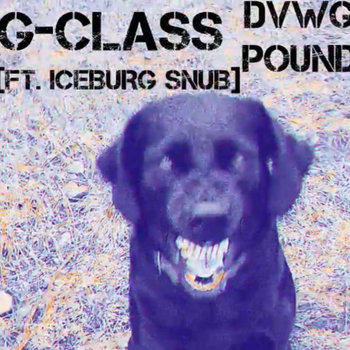 DVWG POUND feat. Iceburg Snub