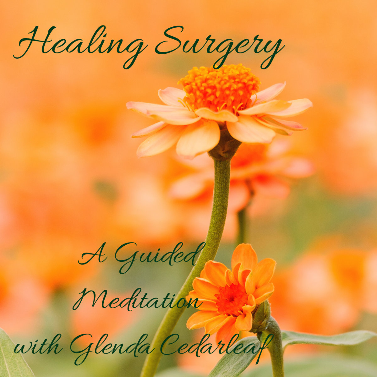 Healing Surgery Album | Glenda Cedarleaf, Clinical Hypnotherapist