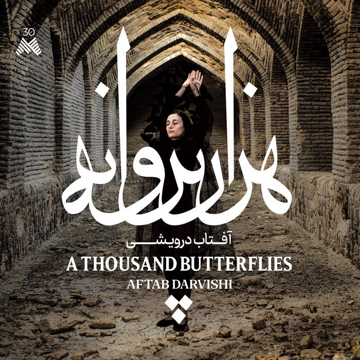 Aftab_darvishi A_thousand_butterflies
