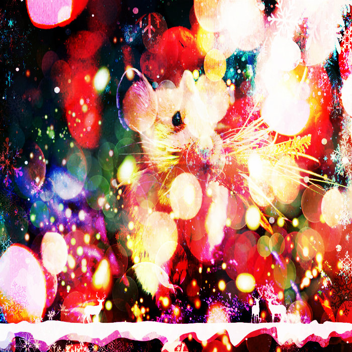 Mouse Hibernation <;3)~ Utopia Radio cover