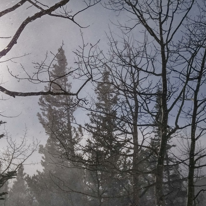 Grit and Blood R. Burley