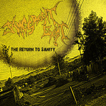 The Return To Sanity cover art