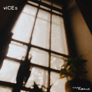 Flagship Romance — Vices