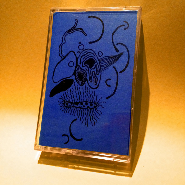 BiPolar Molasses Pregnant Bed Rainbow Bridge