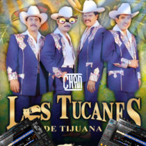 Los Tucanes De Tijuana - Espejeando (Chan Remix) cover art