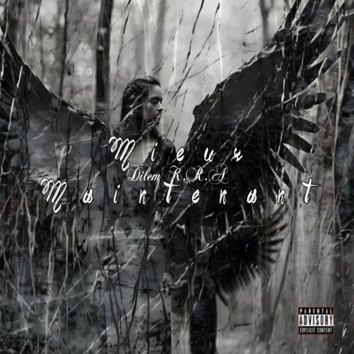 Pochette de Mieux Maintenant par Dilem K.R.A (solo)
