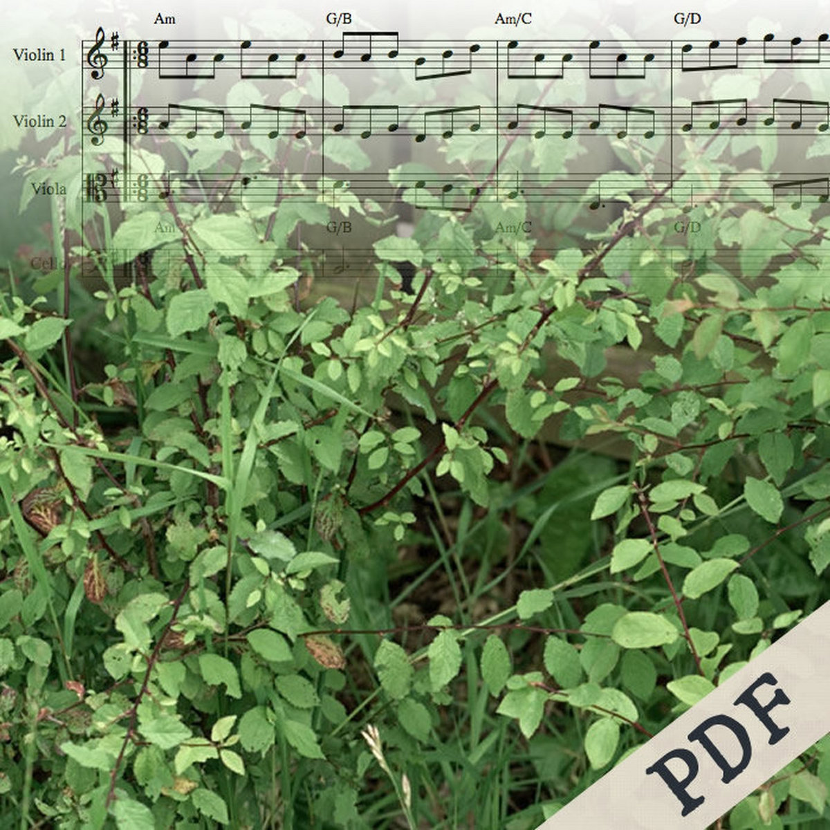 The Tenpenny Bit harmony sheet music for Irish jig on viola, cello or