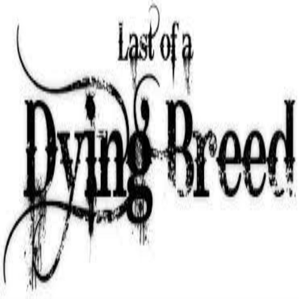 A&S Members Of A Dying Breed(Track By SoLo) SoLo ( Out Of Order Ent)