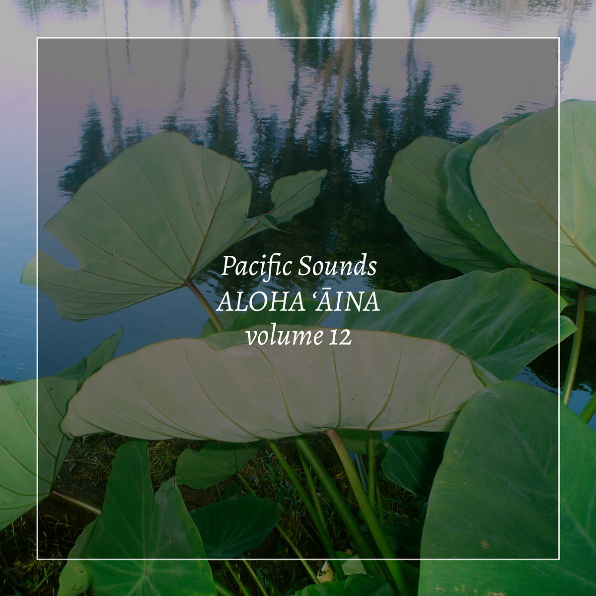 Aloha ‘aina Volume 12 Field Recordings Of Hawaii Pacific Sounds 