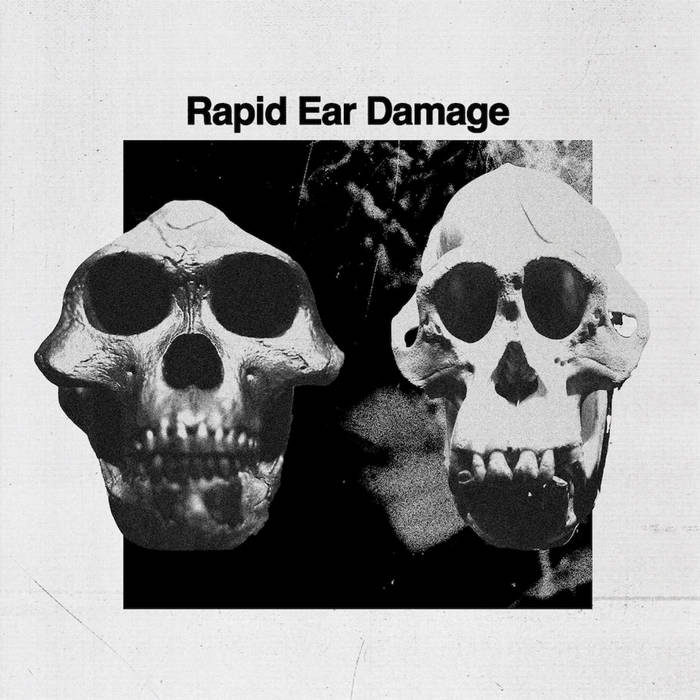 HNRLP031: R.E.D | Rapid Ear Damage | Höga Nord Rekords