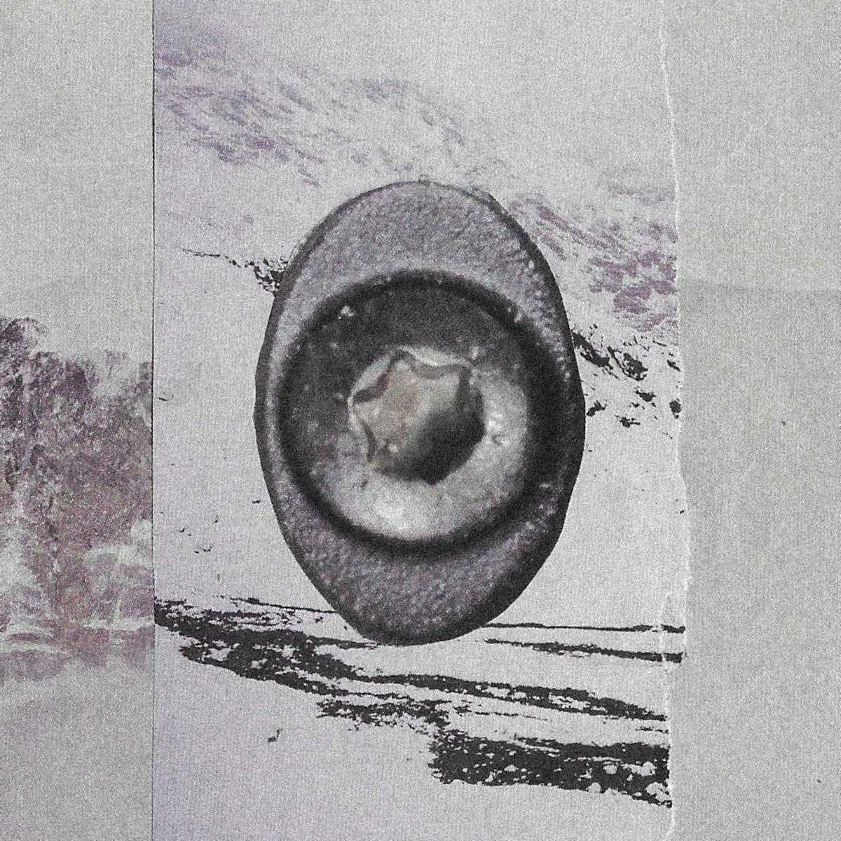 Rubedo / Discarded [Split] cover