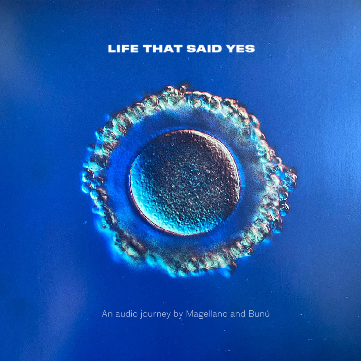 Life that said Yes (an audio journey by Magellano & Bunú) | Magellano