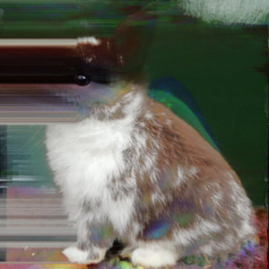 concave rabbit cover