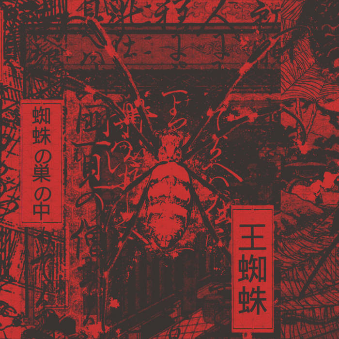 蜘蛛の巣の中 -spider's house- | 王蜘蛛 | 怪談組織 KAIDAN