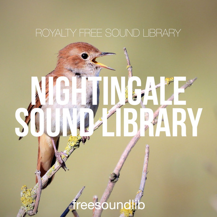 Nightingale Sound Library freesoundlib