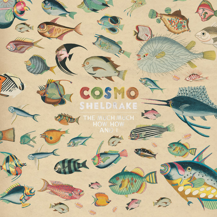Come Along Cosmo Sheldrake