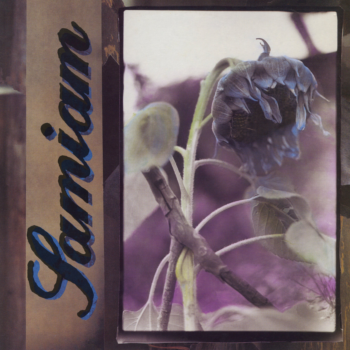 サマイアム　CD Samiam | Samiam | Kung Fu Records