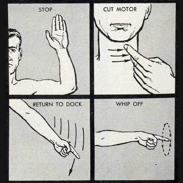 I Took A Walk | The Telephone Numbers