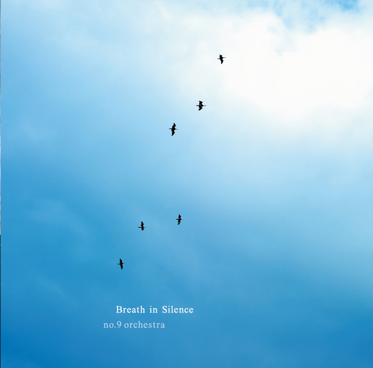 Breath in Silence | no.9 orchestra | no.9