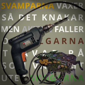 "Svamparna växer så det knakar men aktien faller." cover art