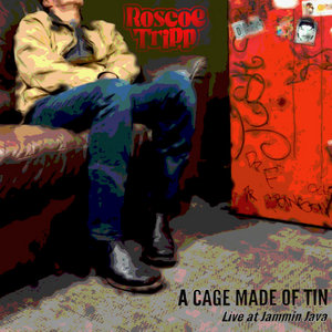 A Cage Made of Tin (Live) cover